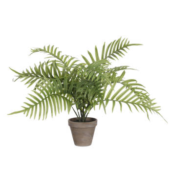 Mica Decorations Palm kunstplant/struik - groen - H53 x D45 cm - Kunstplanten