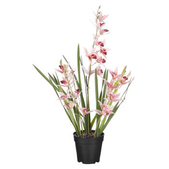 Mica Decorations Orchidee bloem kunstplant - perzik roze - H66 x B34 cm&nbsp; - Kunstplanten