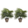 Mica Decorations Palm kunstplant/struik - 2x - groen - H40 x D35 cm - Kunstplanten