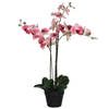 Mica Decorations Orchidee bloem kunstplant - roze - H75 x B50 cmA - Kunstplanten
