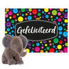 Keel toys - Cadeaukaart Gefeliciteerd met knuffeldier olifant 25 cm - Knuffeldier