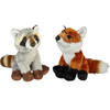 Bosdieren zachte pluche knuffels 2x stuks - Vos en Wasbeer van 15 cm - Knuffel bosdieren