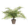 Mica Decorations Palm kunstplant/struik - groen - H53 x D45 cm - Kunstplanten