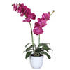 Mica Decorations Orchidee bloem kunstplant - roze - H66 x B38 cm - Kunstplanten