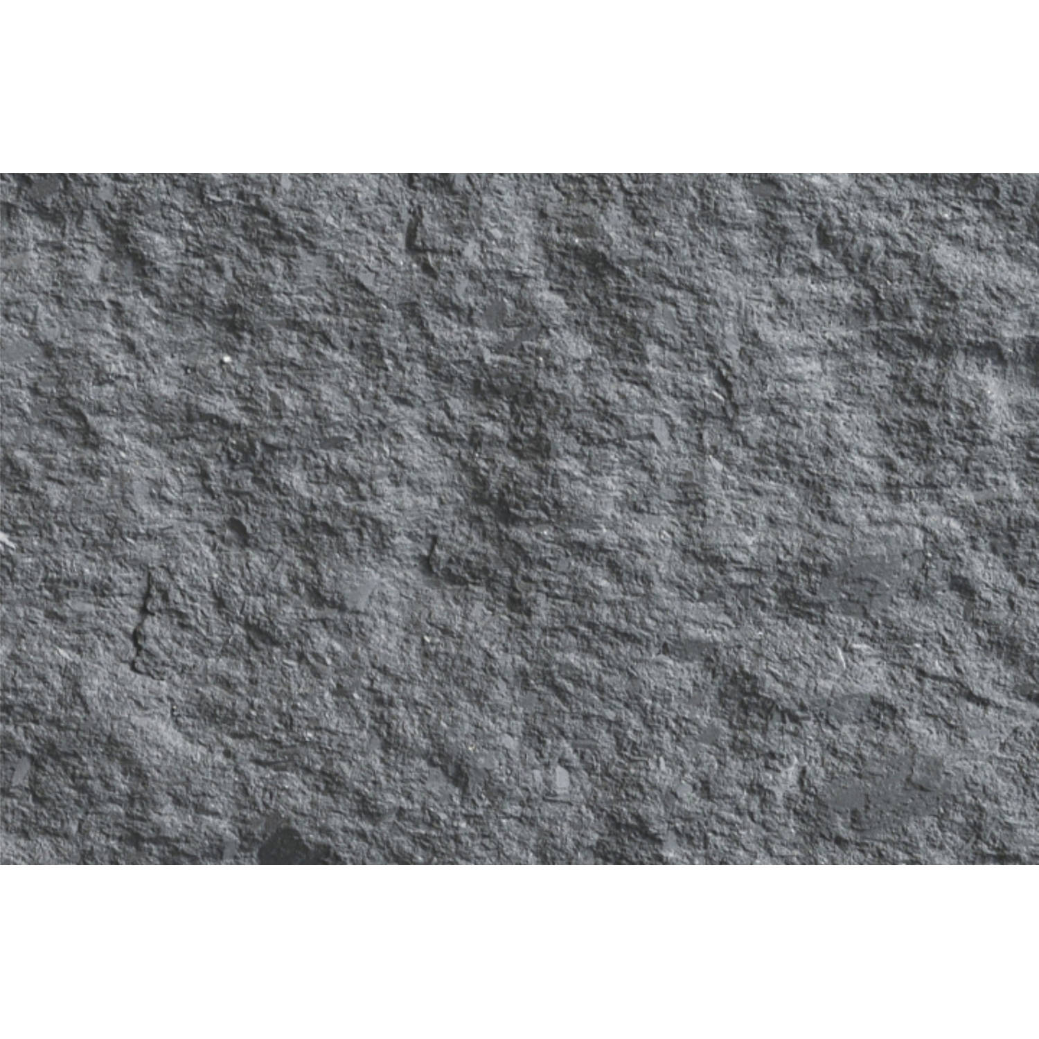 Phomi Granite - Grijs - 60 x 30 cm 1 plaat