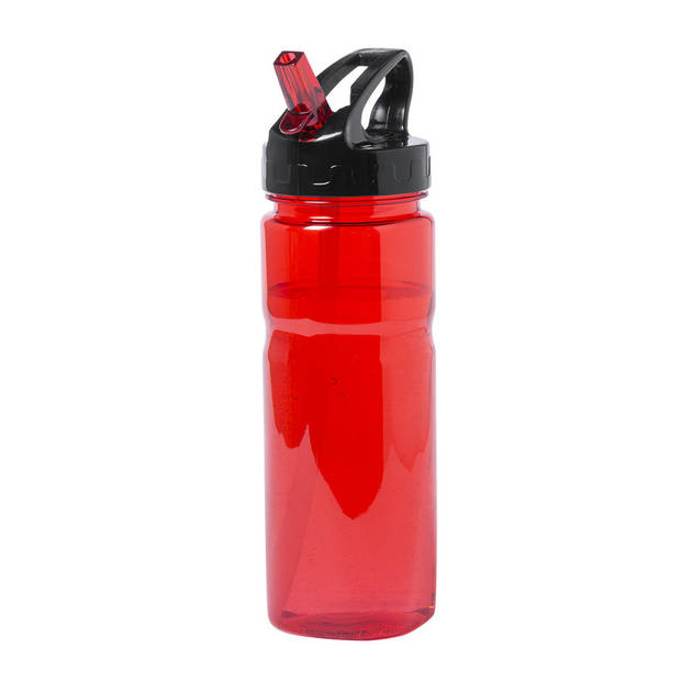 Kunststof waterfles/drinkfles/sportfles - 2x - rood - met drinktuit - 650 ml - Drinkflessen