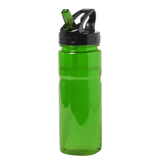 Kunststof waterfles/drinkfles/sportfles - 2x - groen - met drinktuit - 650 ml - Drinkflessen