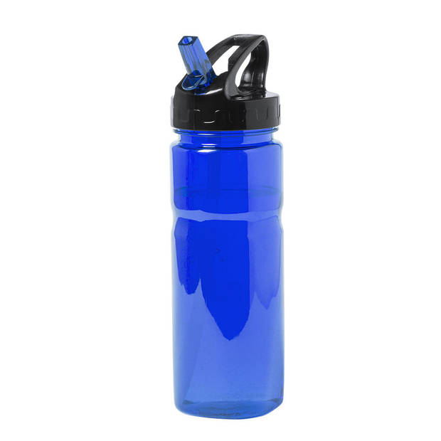 Kunststof waterfles/drinkfles/sportfles - blauw transparant - met drinktuit - 650 ml - Drinkflessen