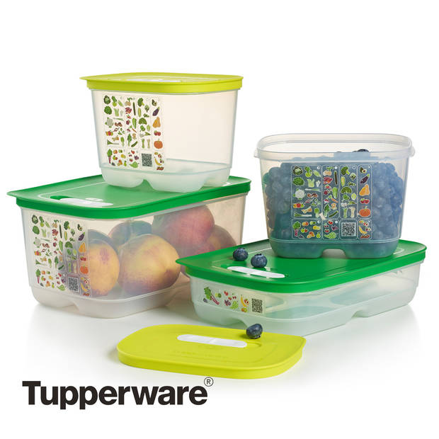 Tupperware FridgeSmart - 3-delige set - Vershoudbakjes - Groen