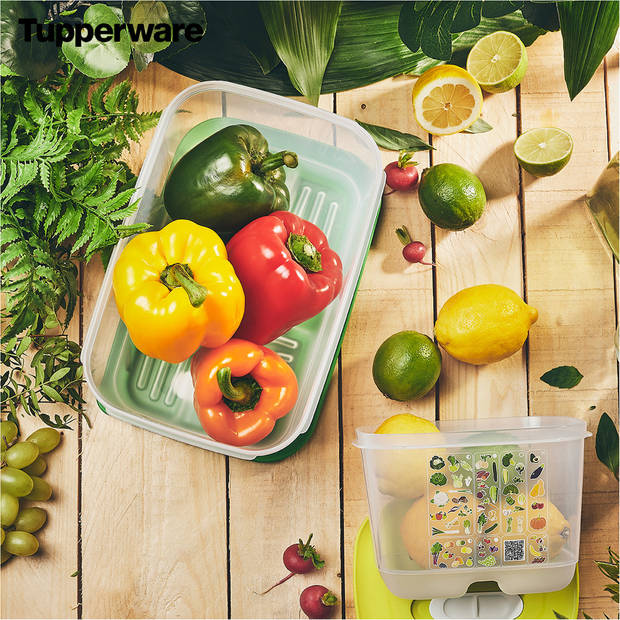 Tupperware FridgeSmart - 3-delige set - Vershoudbakjes - Groen