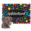 Keel toys - Cadeaukaart Gefeliciteerd met knuffeldier olifant 18 cm - Knuffeldier