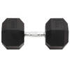 The Living Store Dumbbell Rubbercoating - Halter - 30 kg - Multifunctioneel