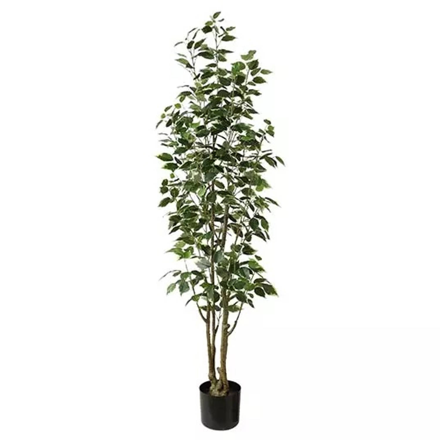 Ficus Benjamina 145 Cm Kunstplant