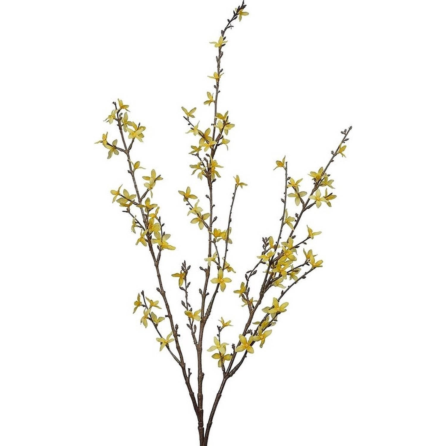 Paastak - Forsythia Tak geel - Lente & paaldecoratie bloemen - Lengte 76cm - B 10cm Hoogte 1,5CM