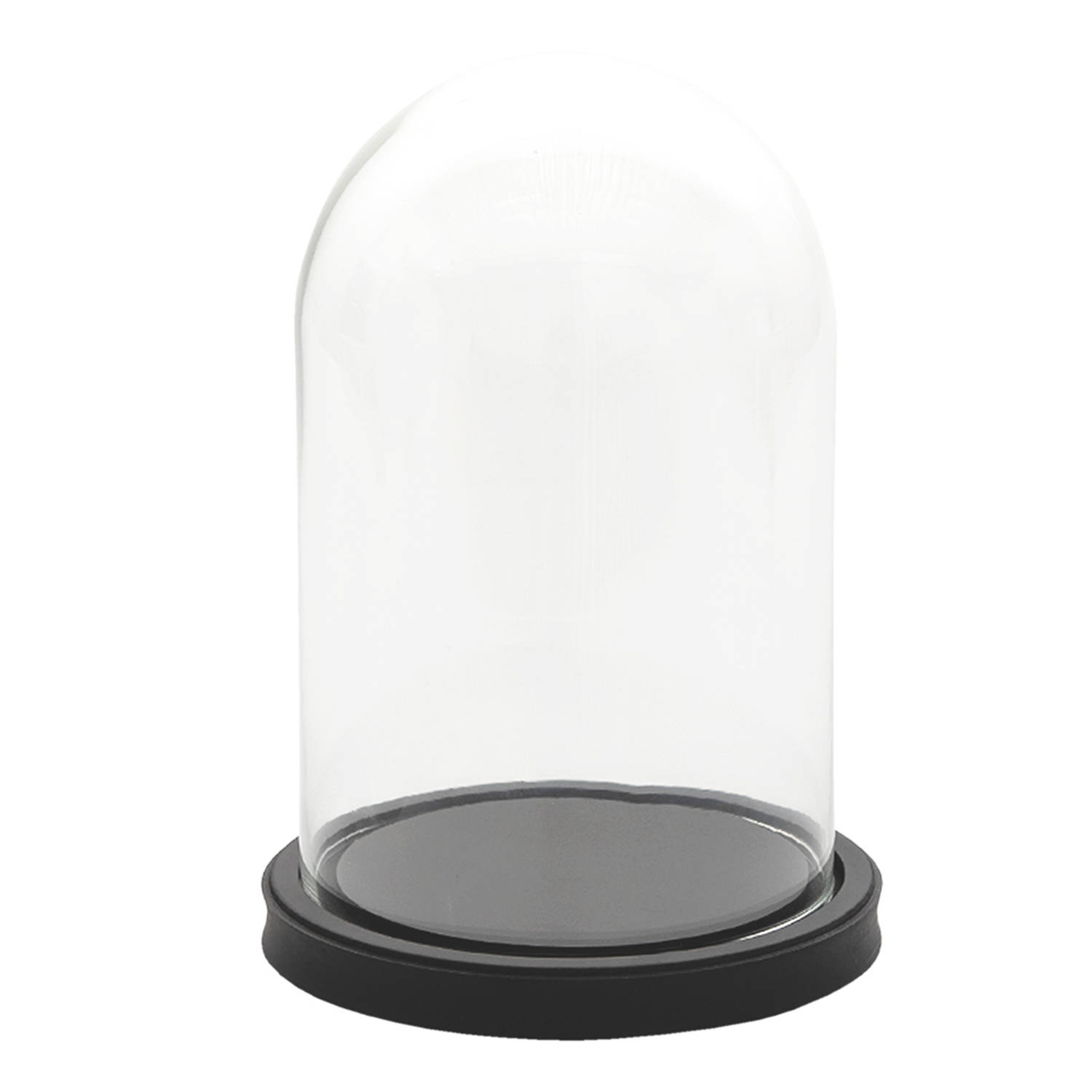 stropdas Schuur Mevrouw HAES DECO - Decoratieve glazen stolp met zwart houten voet, diameter 17 cm  en hoogte 25 cm - ST6GL3365HS | Blokker