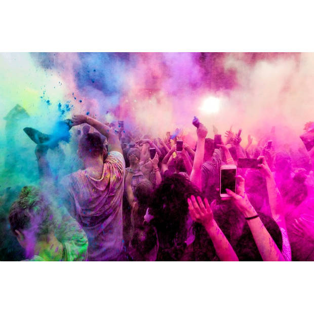 Holi cow 6 x 100 gr gekleurde holi poeder voor festivals en evenementen - Colour run powder