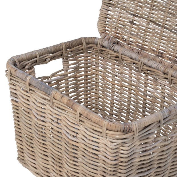 Het Mandenhuys - Fietsmand Rotan - 55x39x40cm - Incl. Deksel - Mand Marla