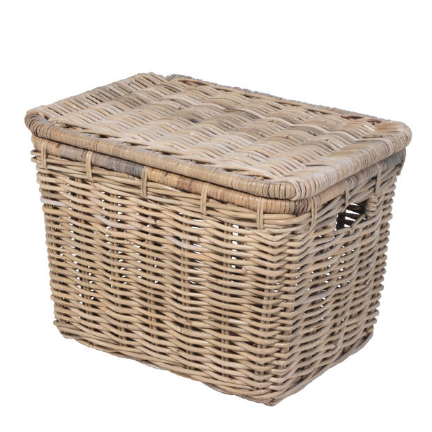 Het Mandenhuys - Fietsmand Rotan - 55x39x40cm - Incl. Deksel - Mand Marla