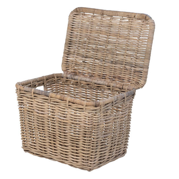 Het Mandenhuys - Fietsmand Rotan - 55x39x40cm - Incl. Deksel - Mand Marla