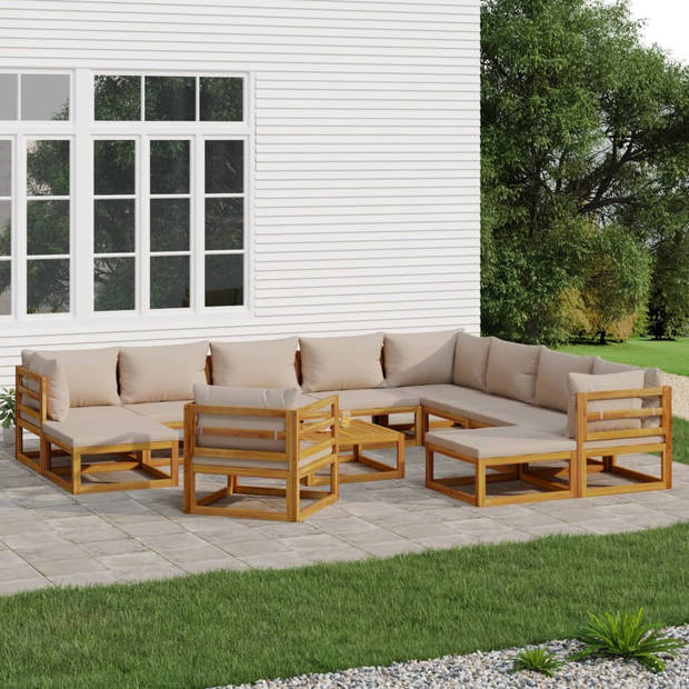 vidaXL 12-delige Loungeset met kussens massief hout taupe