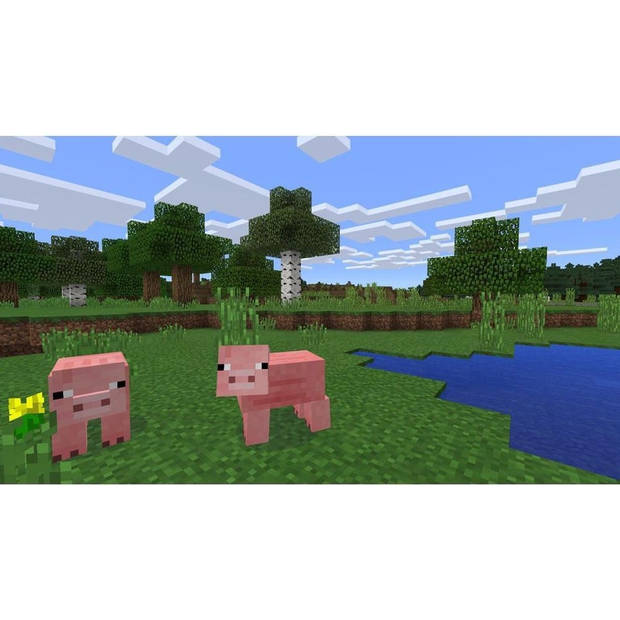 Minecraft - PS4