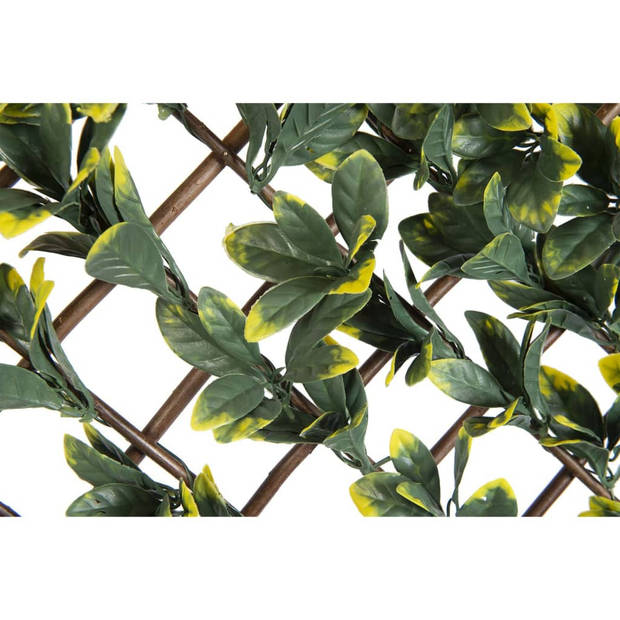 Nature Latwerk met California liguster groen en geel blad 90x180 cm