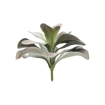 blad kalanchoe 28 cm kunstplant
