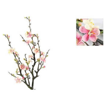 Bloesemtak Quince Roze - 74 cm