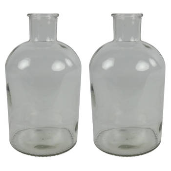 Countryfield vaas - 2x stuks - helder glas - fles - D14 x H27 cm - Vazen