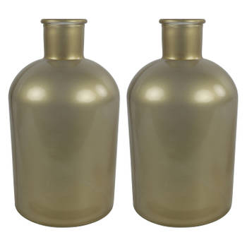 Countryfield vaas - 2x stuks - mat goud glas - fles - D14 x H27 cm - Vazen
