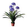 Agapanthus kunstplant