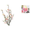 Bloesemtak Quince Roze - 74 cm