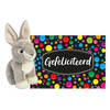 Pluche knuffel cadeau Konijn 18 cm met A5-size Gefeliciteerd wenskaart - Knuffel huisdieren