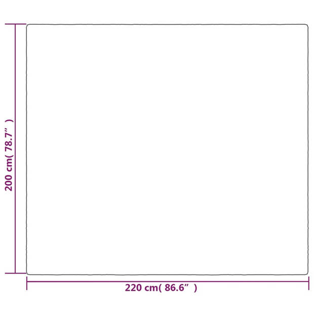 The Living Store Verzwaringsdeken Katoenen Stof - 200 x 220 cm - 13 kg