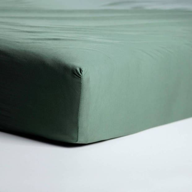 Cinderella Jersey Hoeslaken Green-Lits-jumeaux (160x210/220 cm)