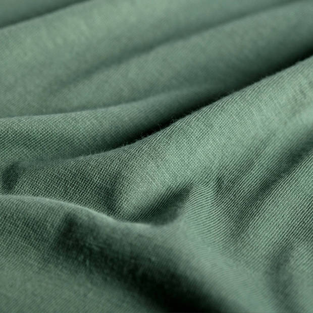 Cinderella Jersey Hoeslaken Green-1-persoons (80/90x200/220 cm)