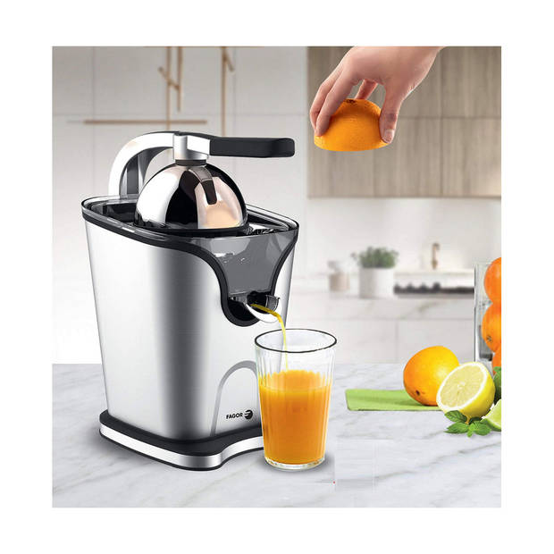 Elektrische juicer FAGOR Zilverkleurig 100 W