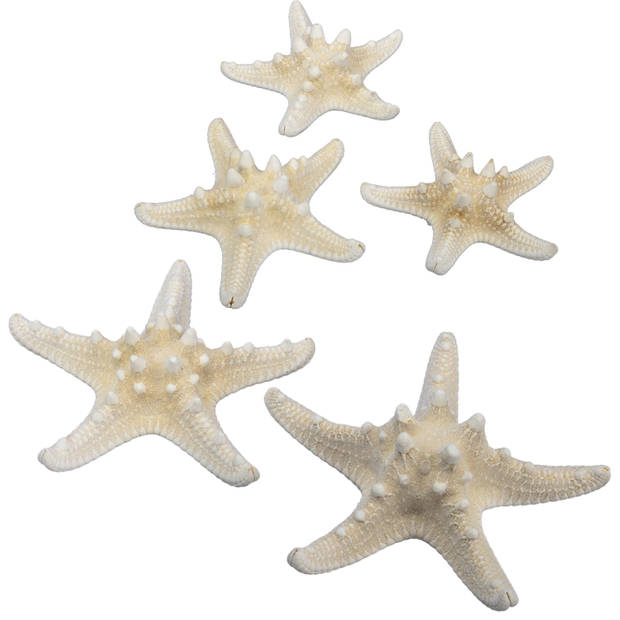 Othmar Decorations Decoratie zeesterren mix - 28x stuks - 7-15 cm - Hobbydecoratieobject