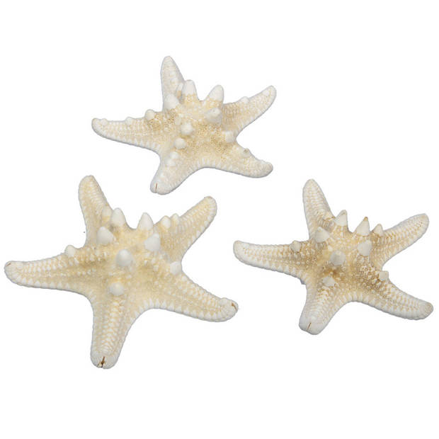 Othmar Decorations Decoratie zeesterren mix - 28x stuks - 7-15 cm - Hobbydecoratieobject