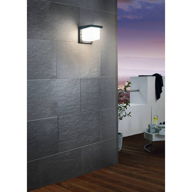 EGLO Topline Desella 1 - Buitenverlichting - Wandlamp - Antraciet