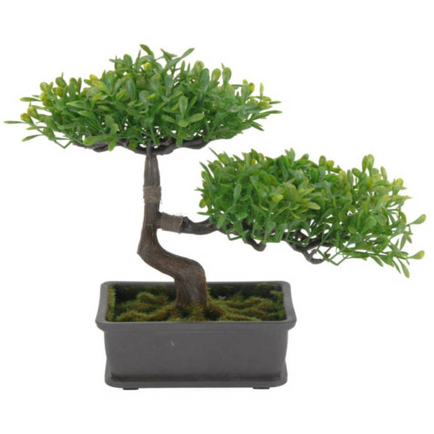 H&S Collection Kunstplant Bonsai boompje in pot - Japans decoratie - 27 cm - lichtgroene blaadjes - Kunstplanten