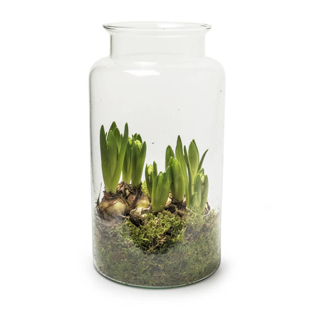 Melkbusvaas bloemenvaas/bloemenvazen 19 x 35 cm transparant eco glas - Vazen