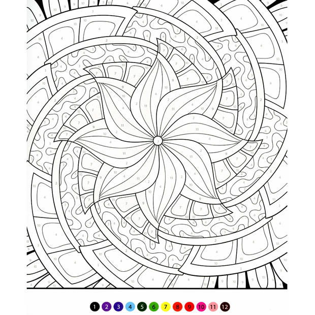 Kleuren op nummer - Flower Mandala's - Inclusief 12 Permanent Markers