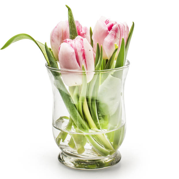 Windlicht bloemenvaas/bloemenvazen 9 x 11 cm transparant glas - Vazen