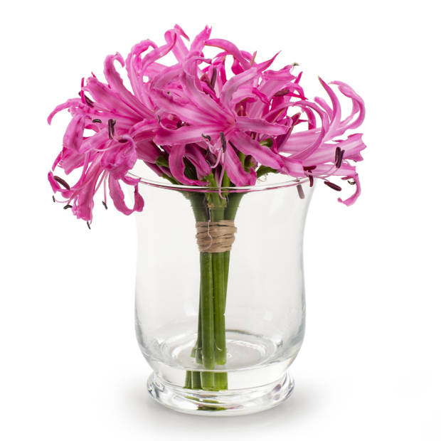Windlicht bloemenvaas/bloemenvazen 9 x 11 cm transparant glas - Vazen