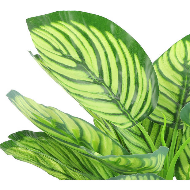 Countryfield Kunstplant Calathea in bloempot - Groen - 15 x 28 cm - Kunstplanten