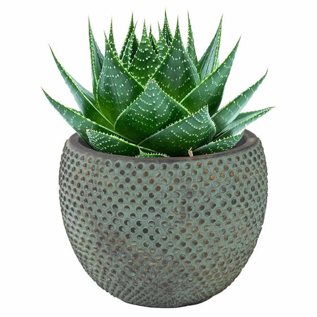 Ter Steege Plantenpot - stijlvol motief - blauw/goud - D16 x H12 cm - Plantenpotten