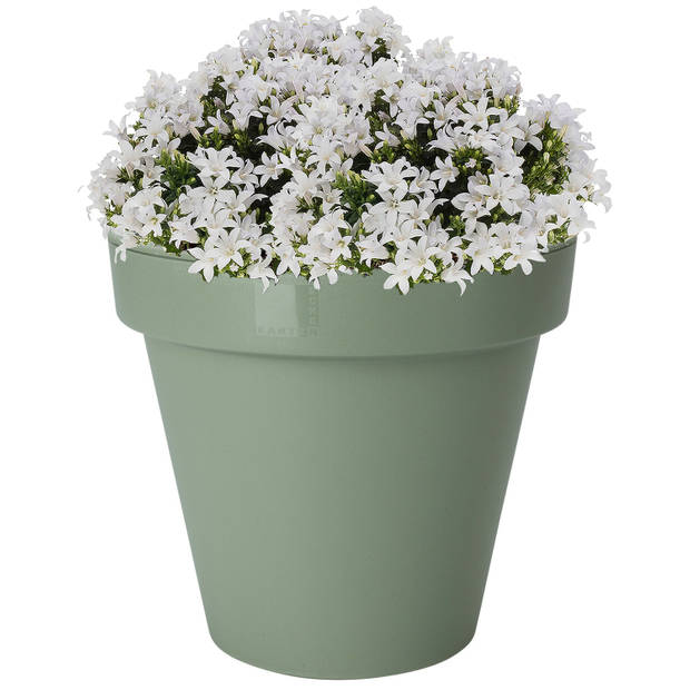 Pro Garden Plantenpot/bloempot - Tuin buiten - kunststof - groen - D50 cm - Plantenpotten