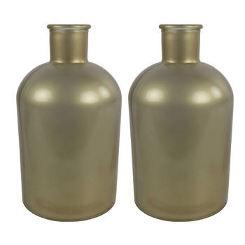 Countryfield vaas - 2x stuks - mat goud glas - fles - D17 x H31 cm - Vazen