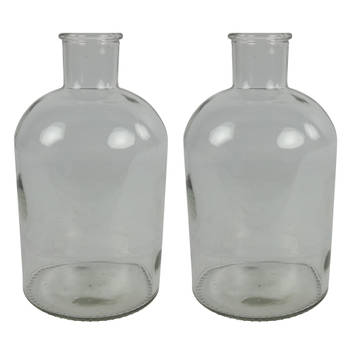 Countryfield vaas - 2x stuks - helder glas - fles - D17 x H31 cm - Vazen